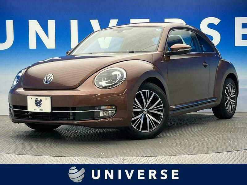 THE BEETLE