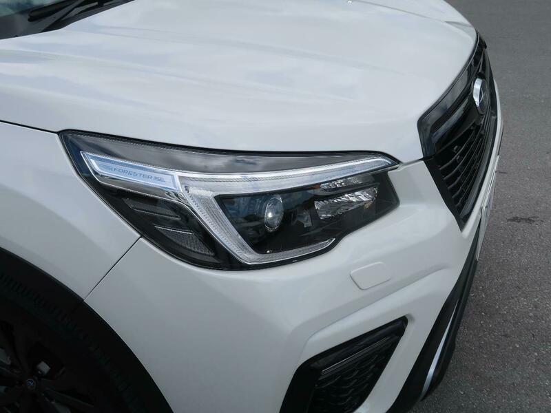 FORESTER