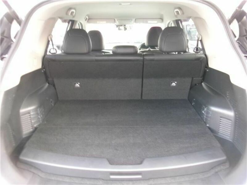 X-TRAIL-19