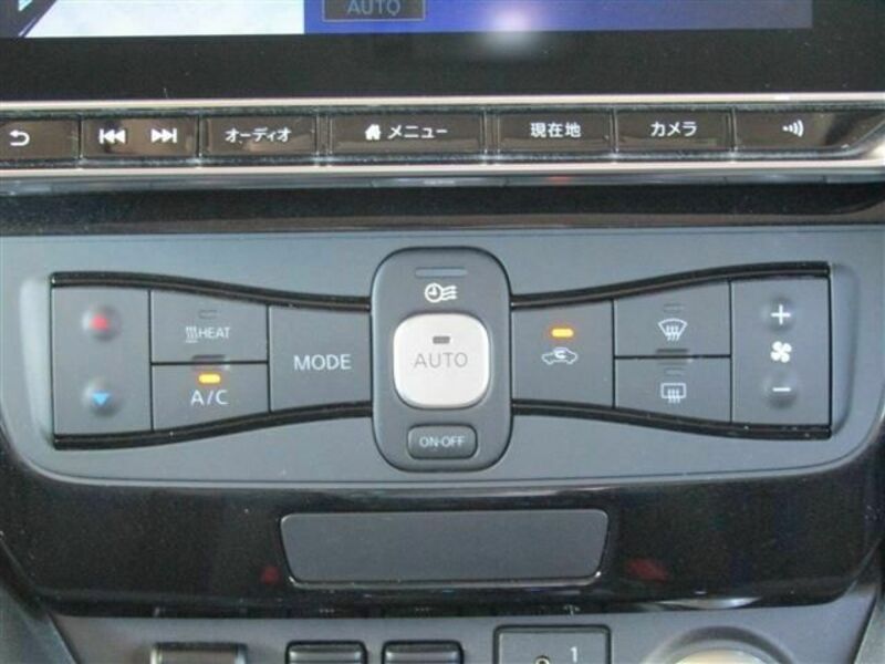 LEAF-10