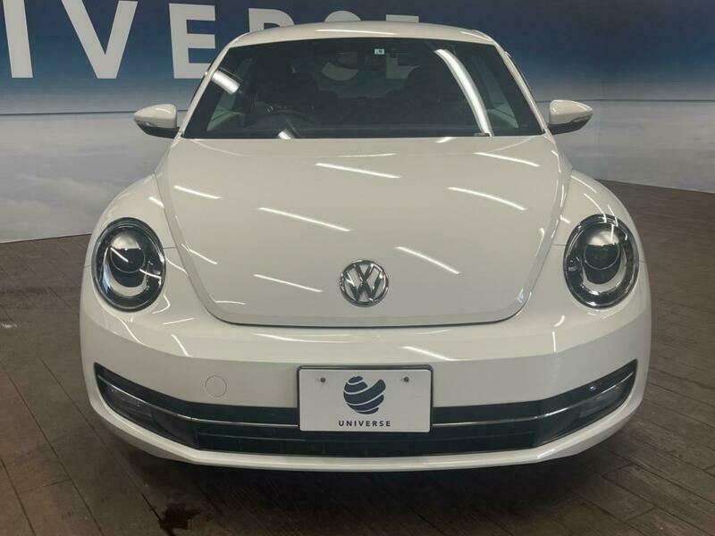 THE BEETLE