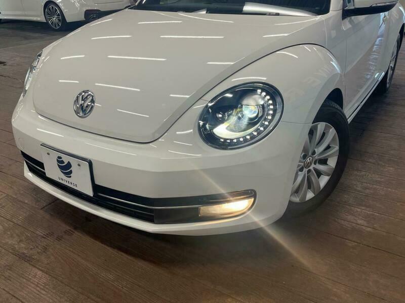 THE BEETLE