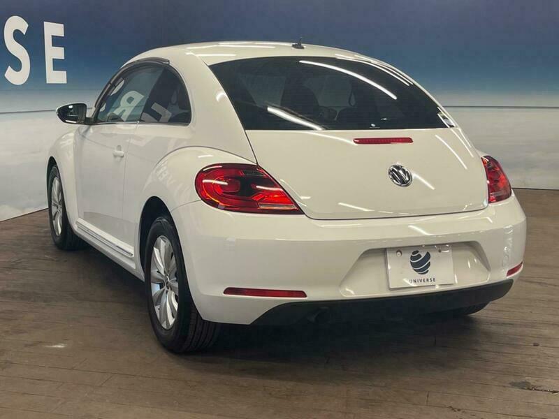 THE BEETLE