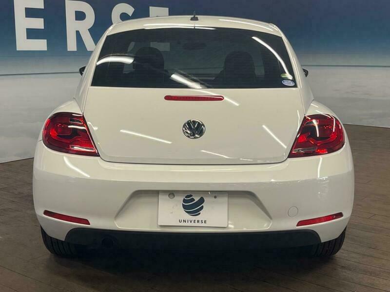 THE BEETLE