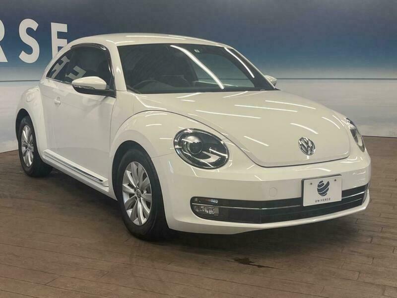 THE BEETLE