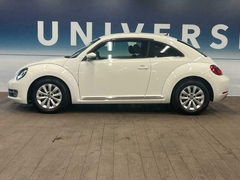 THE BEETLE