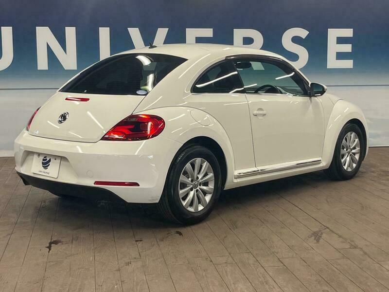 THE BEETLE