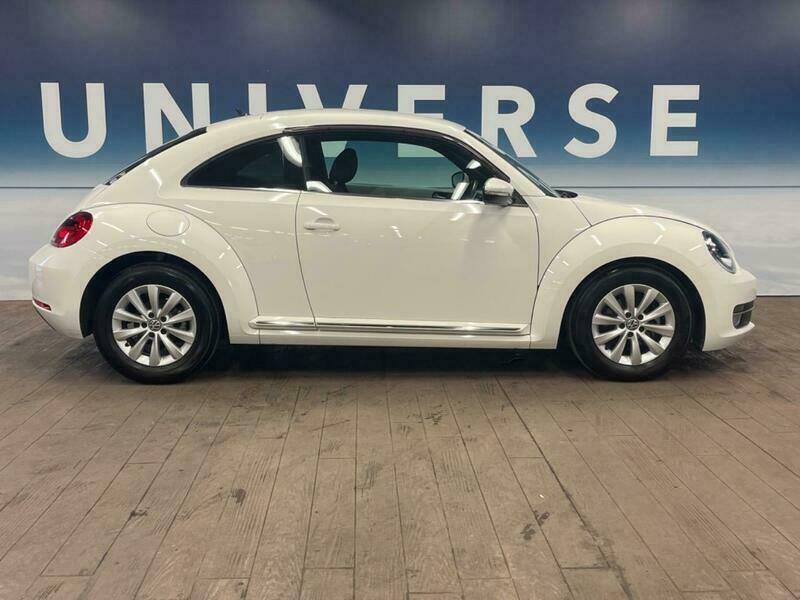 THE BEETLE