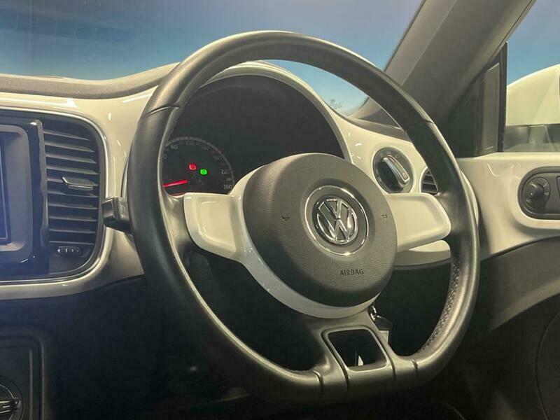 THE BEETLE