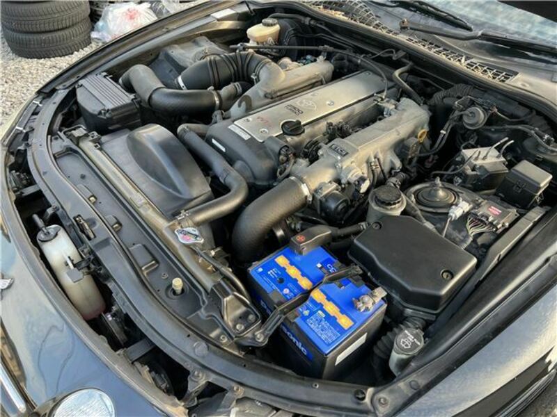SOARER