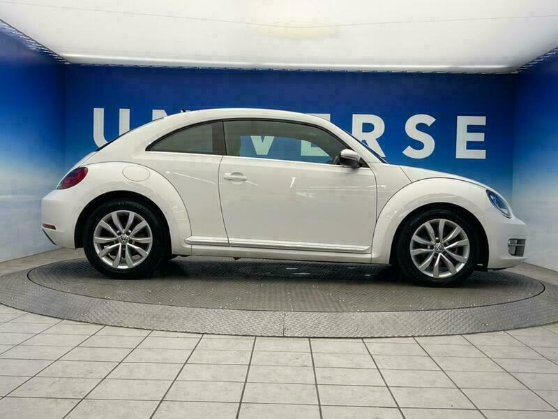 THE BEETLE