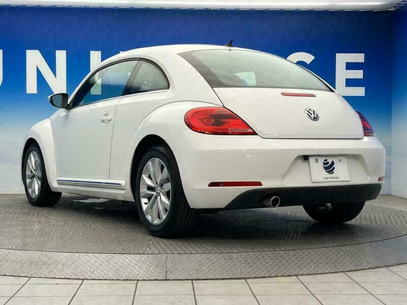 THE BEETLE