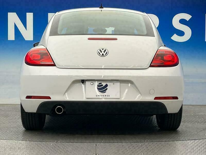 THE BEETLE