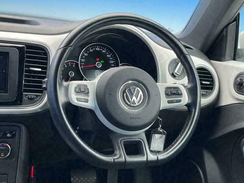 THE BEETLE