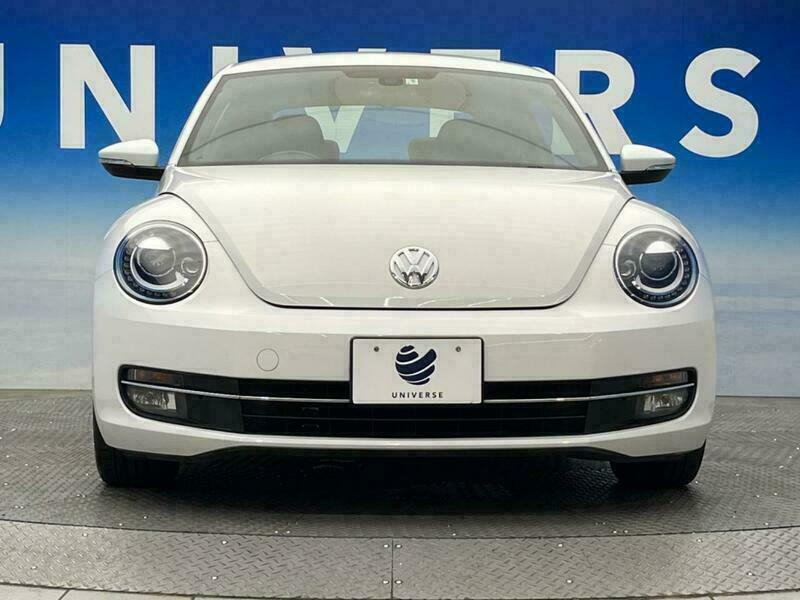 THE BEETLE