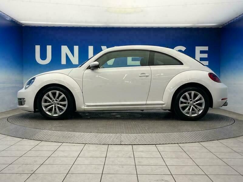 THE BEETLE