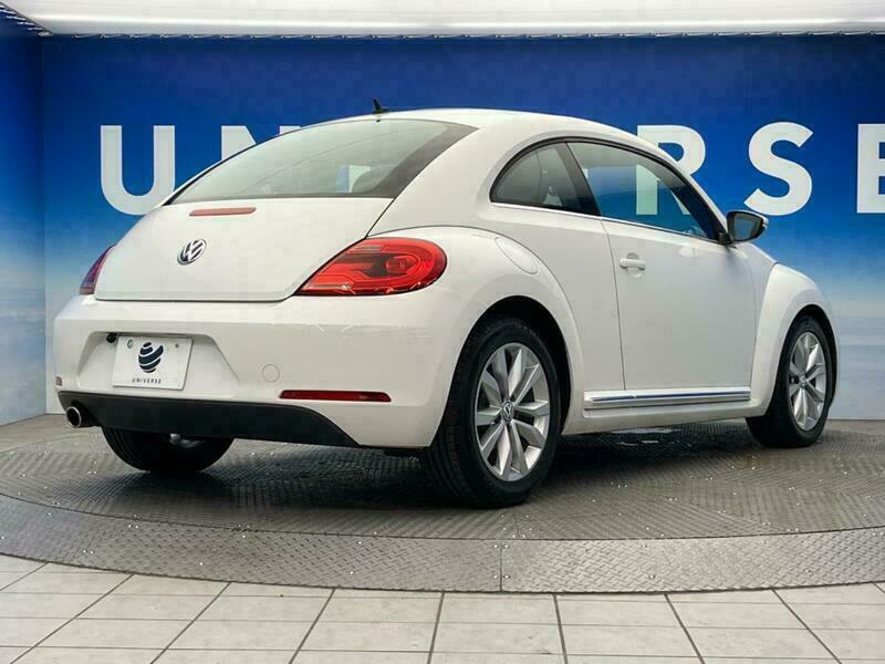THE BEETLE