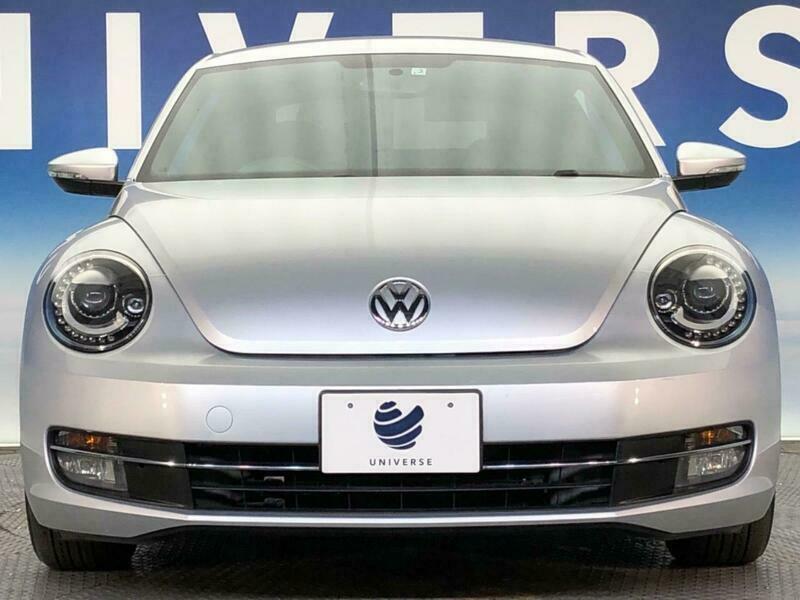 THE BEETLE