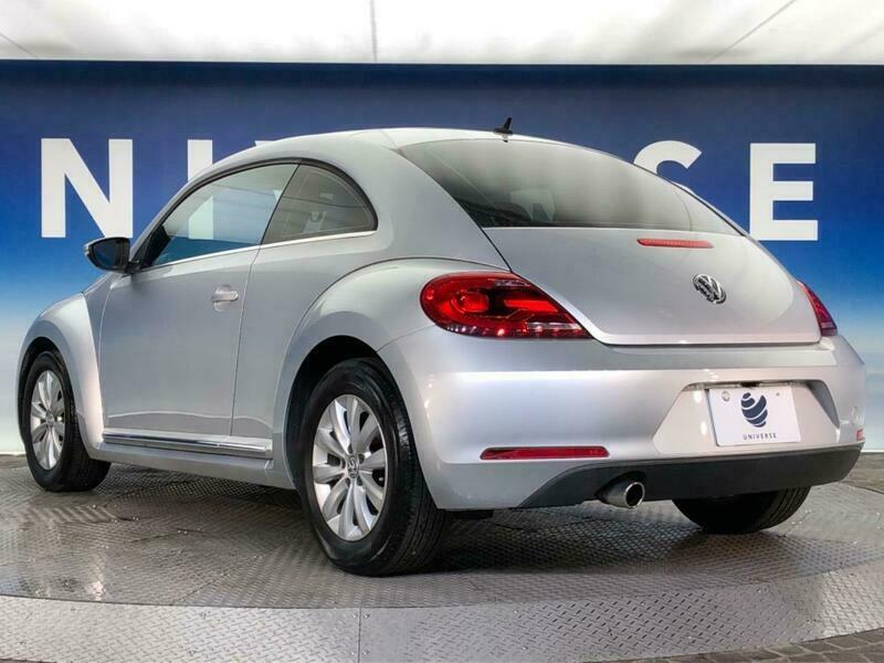 THE BEETLE