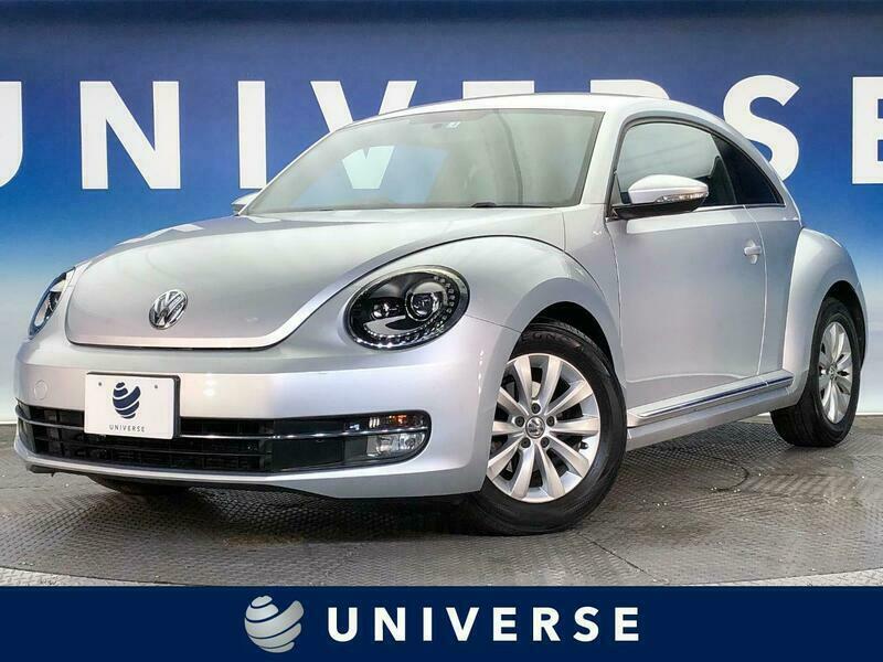 THE BEETLE
