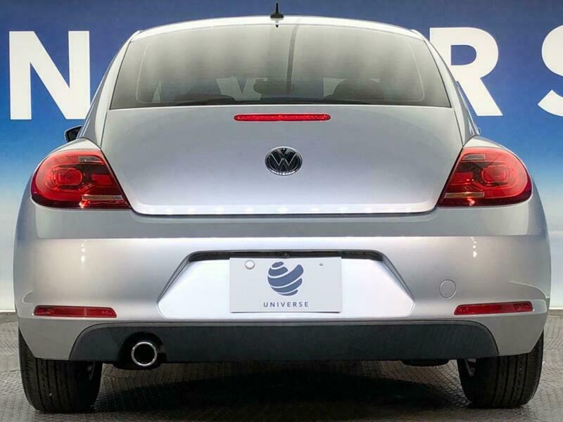 THE BEETLE