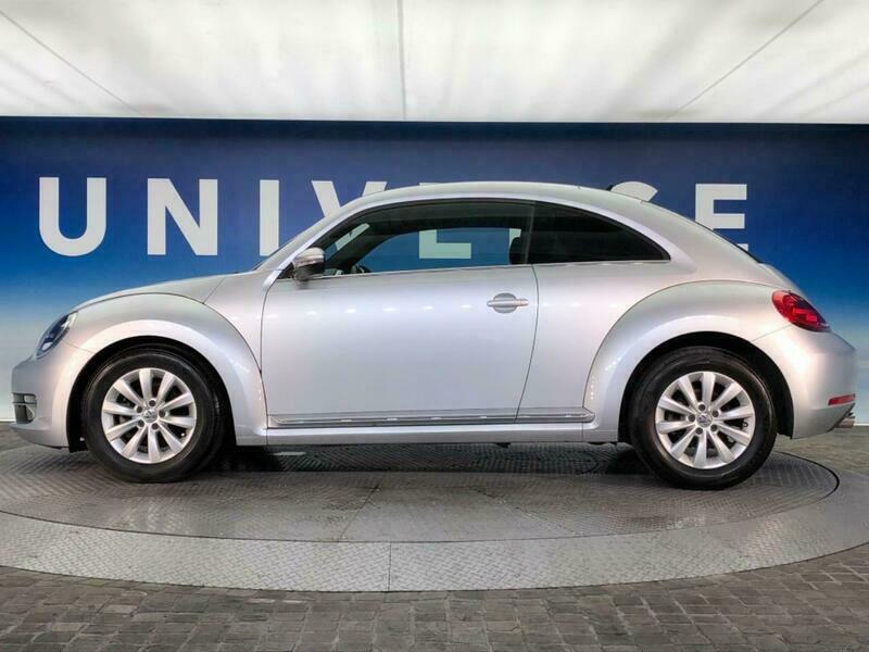 THE BEETLE