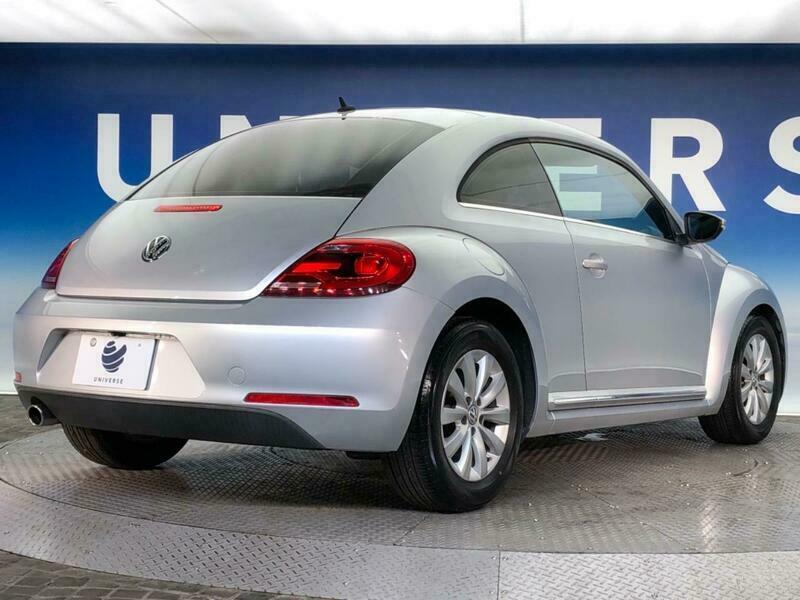 THE BEETLE