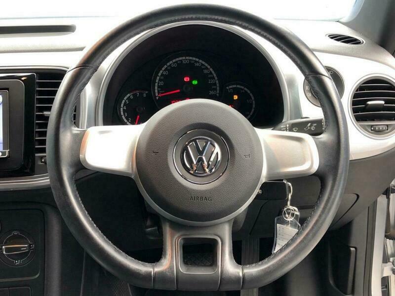 THE BEETLE