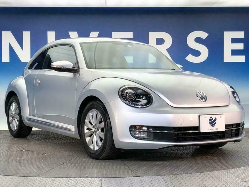 THE BEETLE
