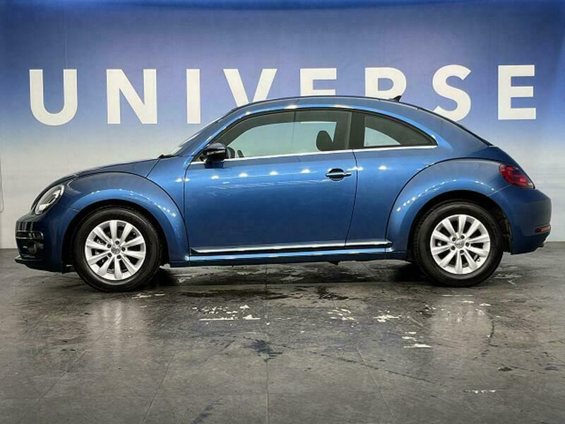 THE BEETLE