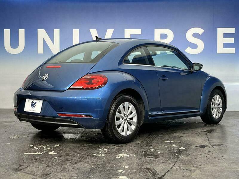 THE BEETLE