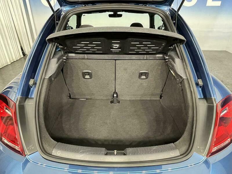 THE BEETLE