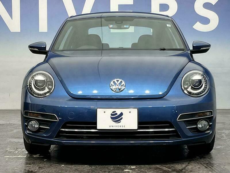 THE BEETLE