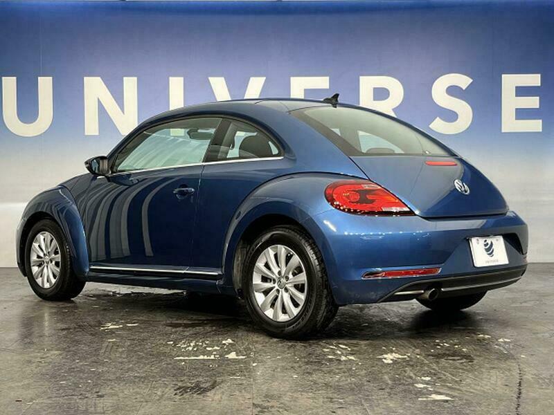 THE BEETLE