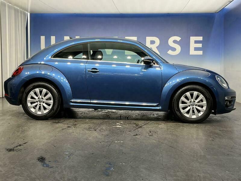 THE BEETLE