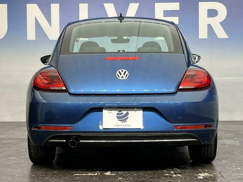 THE BEETLE