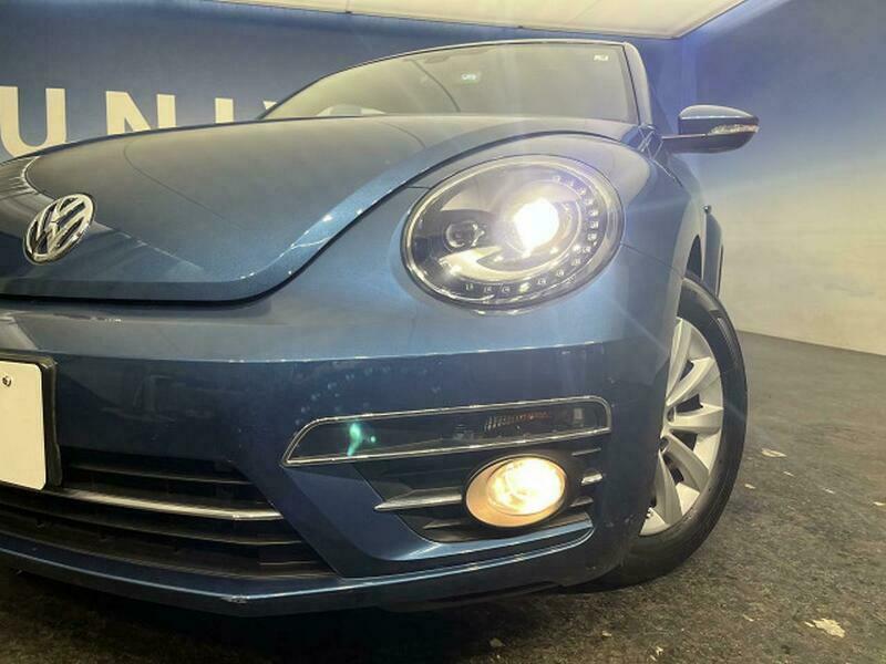 THE BEETLE