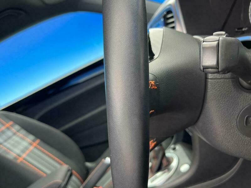 THE BEETLE