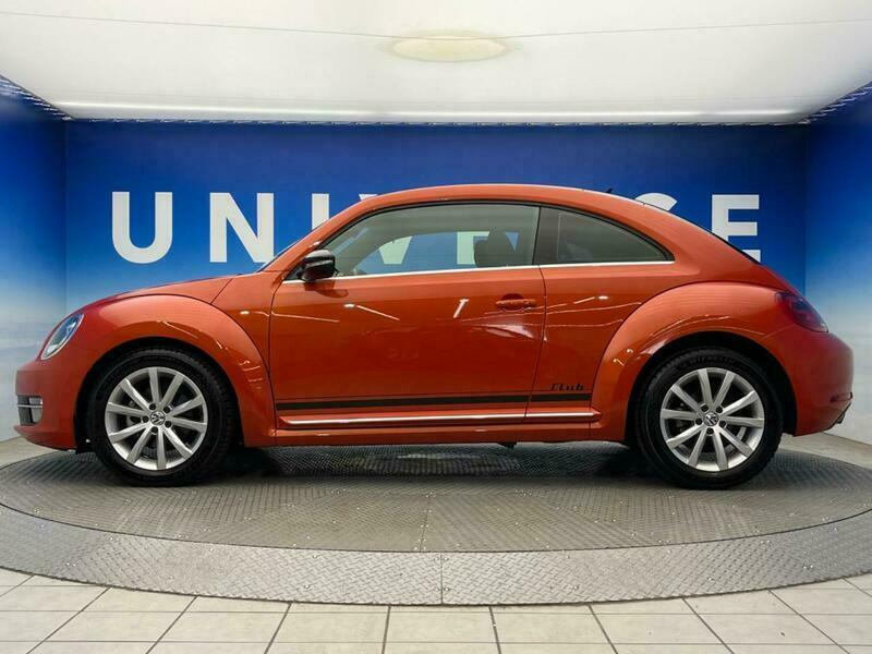 THE BEETLE