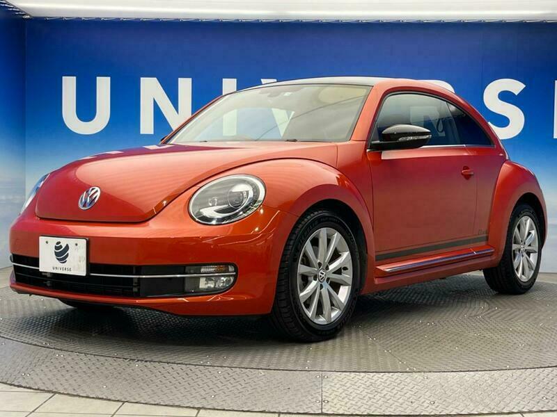 THE BEETLE