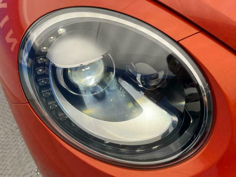 THE BEETLE