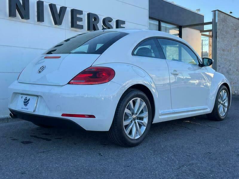 THE BEETLE