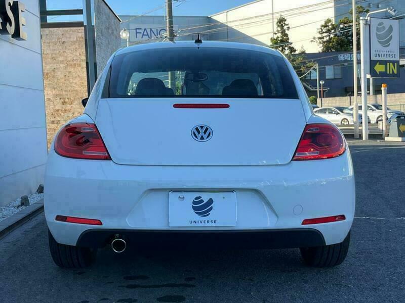 THE BEETLE