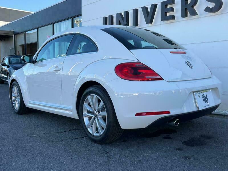 THE BEETLE