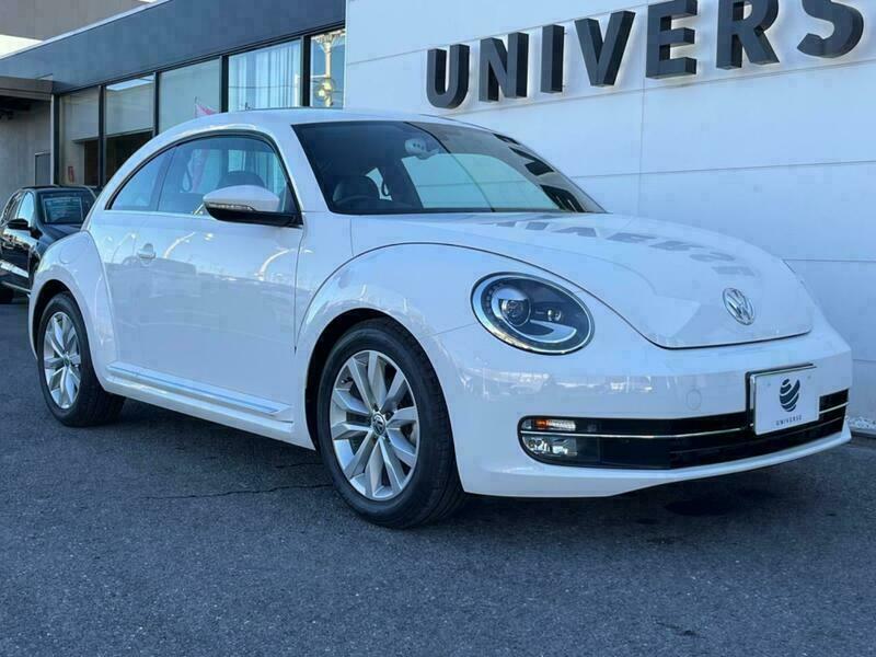 THE BEETLE