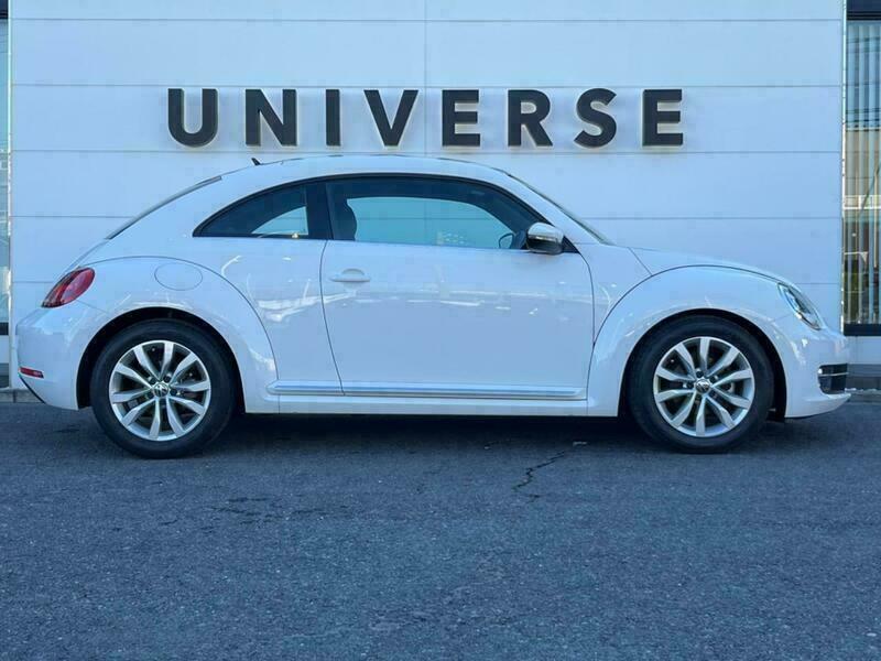 THE BEETLE