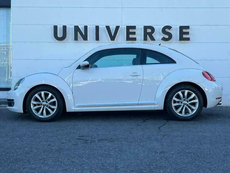 THE BEETLE