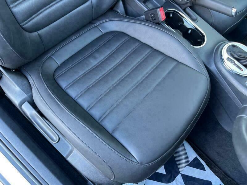 THE BEETLE