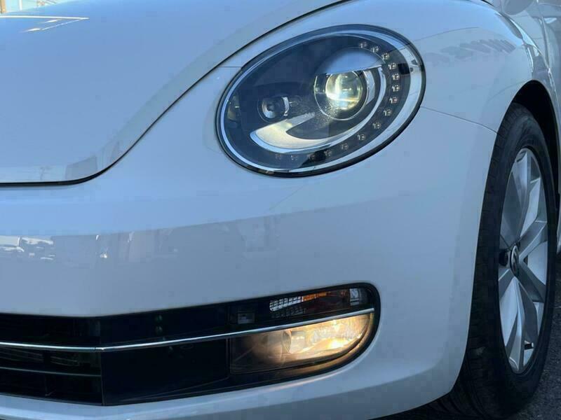 THE BEETLE
