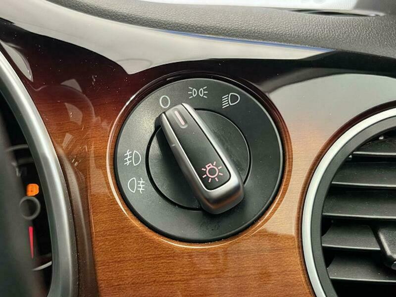 THE BEETLE